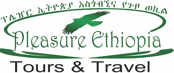 Pleasure Ethiopia Tours - Accredited Local DMC in Addis Ababa